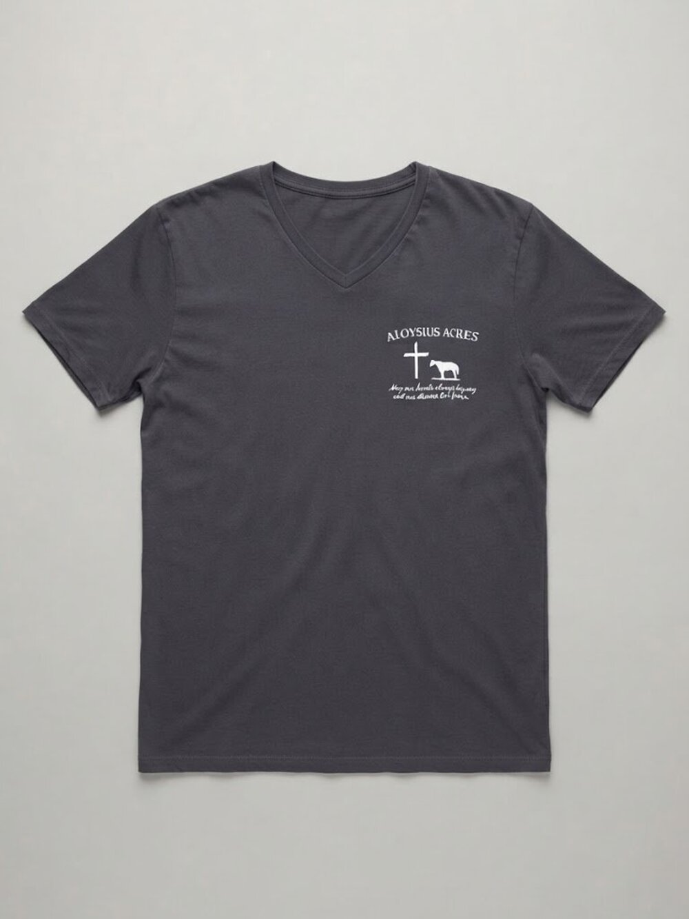 Anvil Aloysius Acres Christian Faith Horse Graphic V-Neck T-Shirt Large L